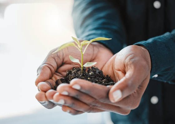 Training Seminars 2026