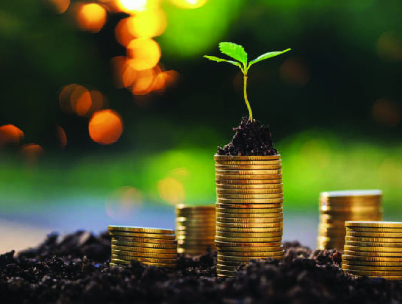 Sustainable Asset Growth